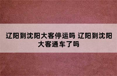 辽阳到沈阳大客停运吗 辽阳到沈阳大客通车了吗